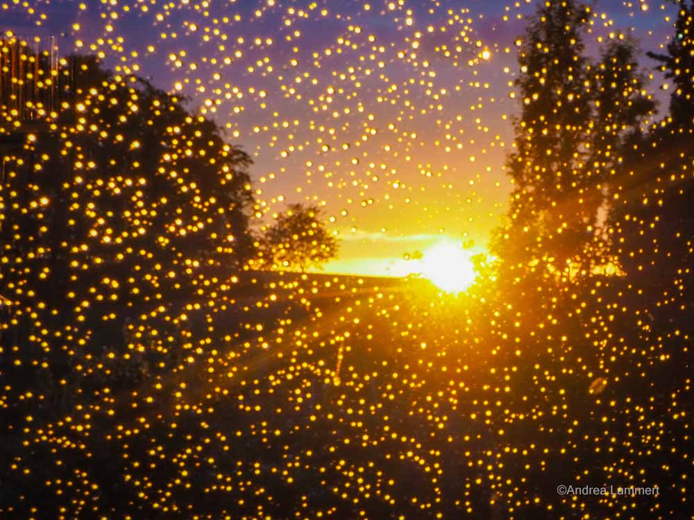 Regentropfen an Fensterscheibe