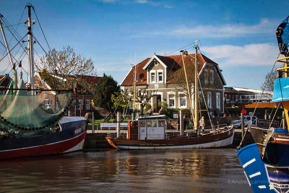Haden in Carolienensiel
