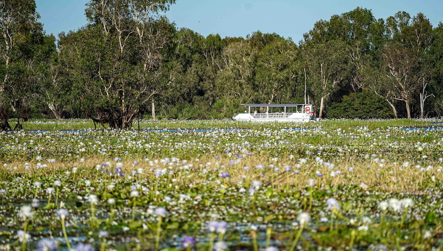 Ausflugsboot auf den Yellow Waters, Kakadu-Nationalpark, Northern Territory Australien