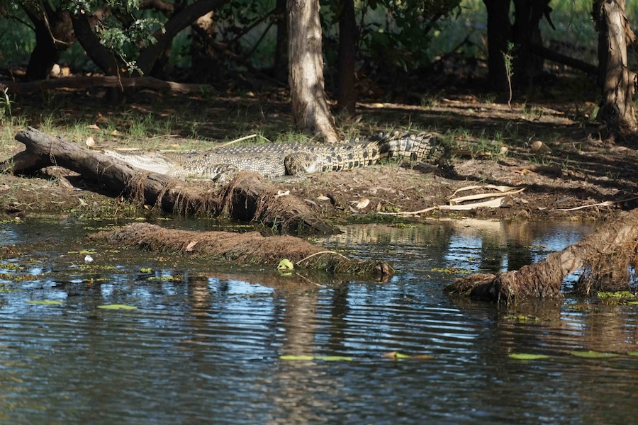 Australien Northern Territory