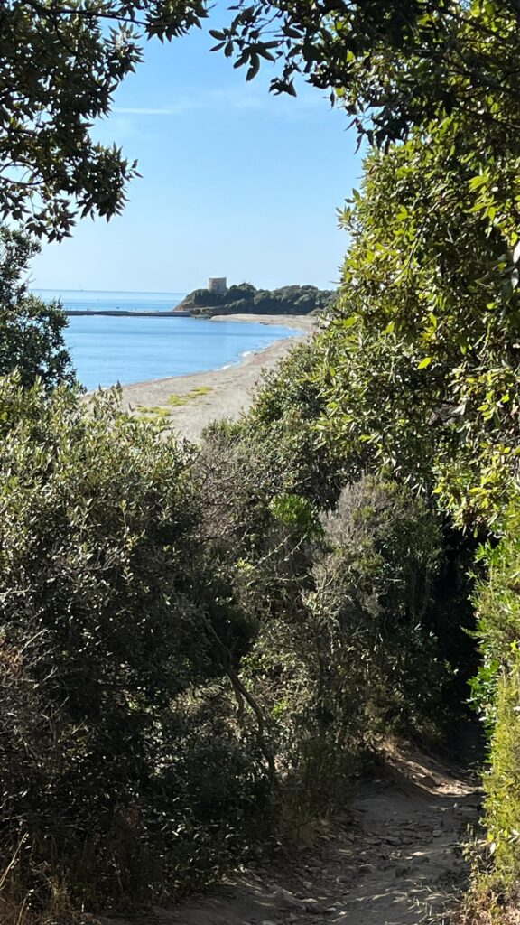 Ausblicke auf einen weiteren einsamen Strand: FKK-Camping Domaine de Riva Bella. Foto: Gerhard von Kapff
