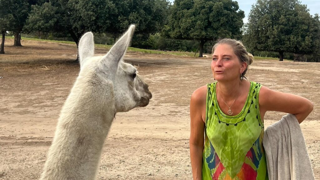 Lamas als Brandschützer auf  dem FKK-Camping Domaine de Riva Bella. Foto: Gerhard von Kapff